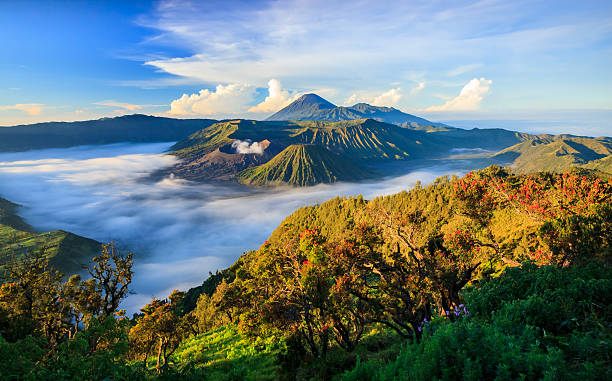 Bromo Indonesia