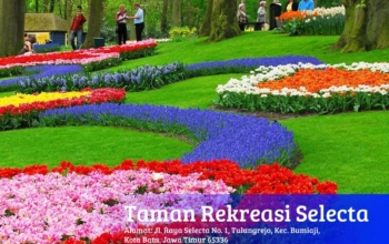 Malang ke Bromo